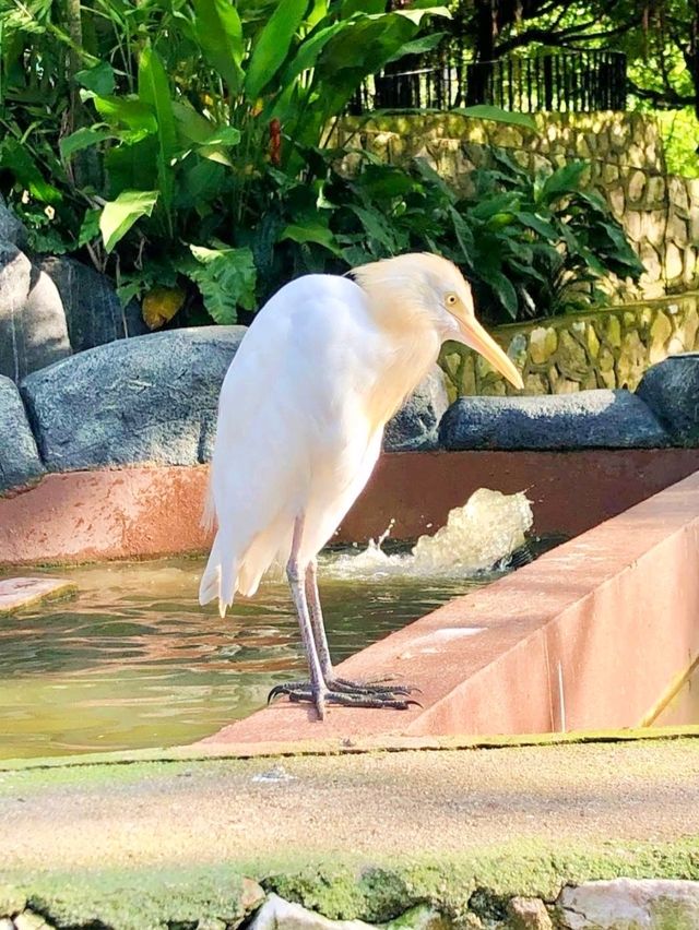 KL Bird Park