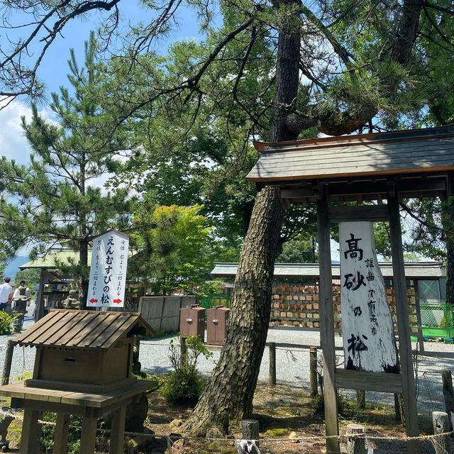 【熊本🇯🇵】自然と食を満喫！熊本旅行🐻