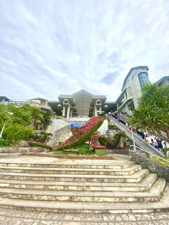 【沖繩海洋博公園】🌳讓遊客瞬間進入綠色世界🌿