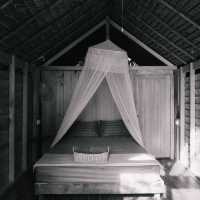 The Tropical Koh MOOK