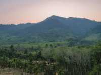 ลานกางเต็นท์ดอยนกเงือก เกาะช้าง จ.ตราด