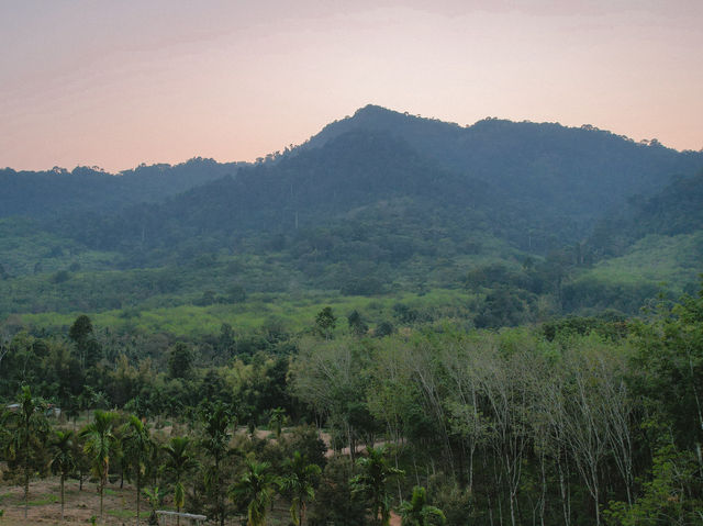 ลานกางเต็นท์ดอยนกเงือก เกาะช้าง จ.ตราด