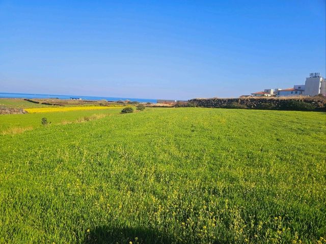 An outer island from Jeju Island, Udo