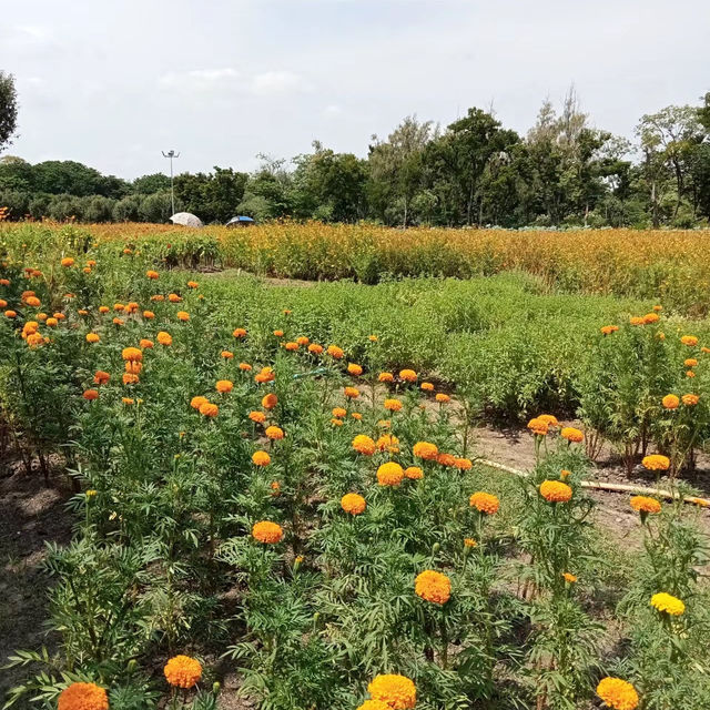 武吉巴督自然公園～城市綠洲