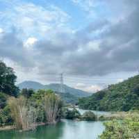 咖啡山森林保護公園：原生態環境、豐富生物、戶外活動，親近大自然