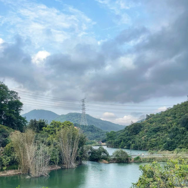 咖啡山森林保護公園：原生態環境、豐富生物、戶外活動，親近大自然