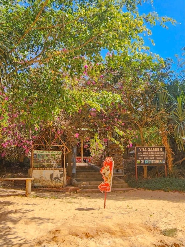 베트남의 샌프란시스코🏜