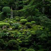 深田氏庭園：江戶時代傳統園林，春天好去處