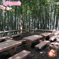 The Takenoko Park