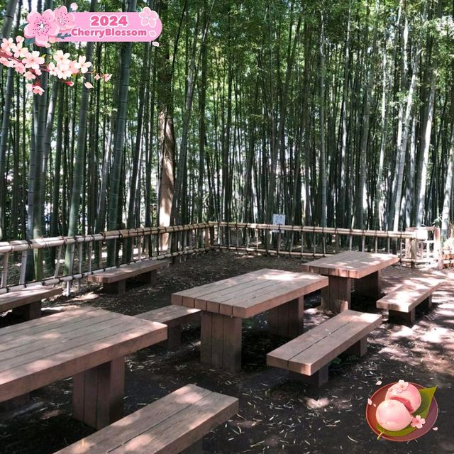 The Takenoko Park