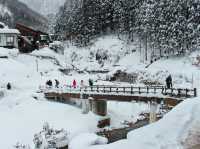 Cute Snow Monkeys at Snow Monkey Park, Nagano, Japan 🇯🇵