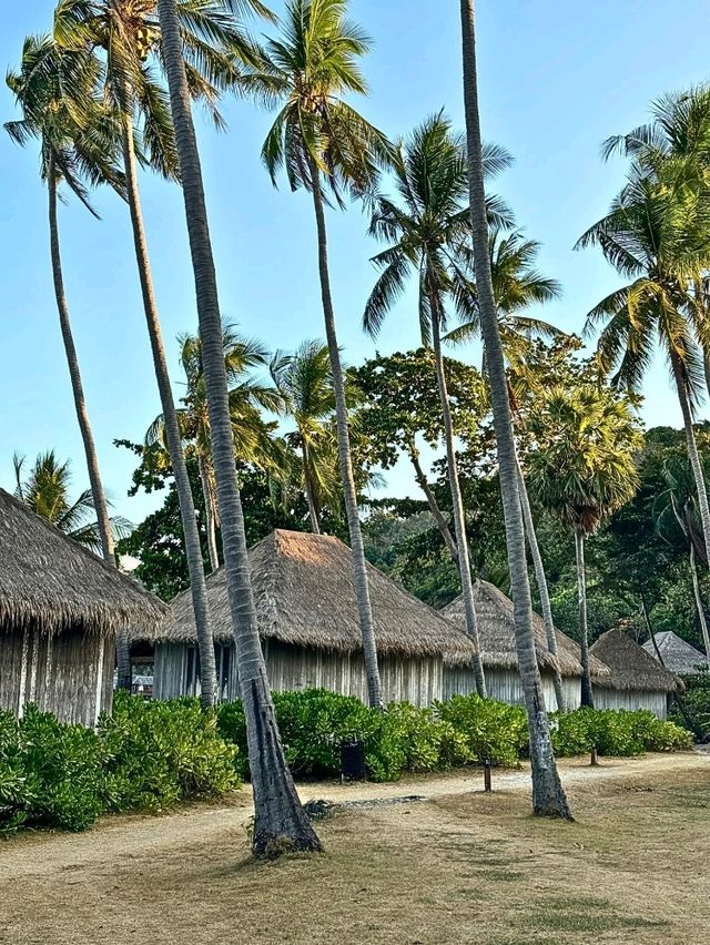 🏖 เกาะเต่า สวรรค์ของการพักผ่อน