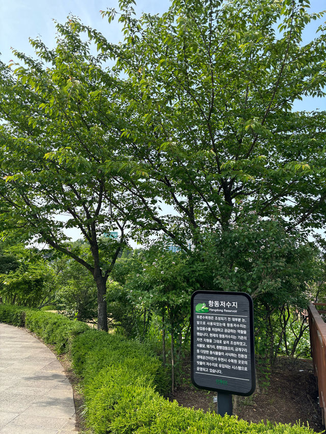 철길을 거닐며 다양한 식물과 꽃을 구경하는 서울 여행💜