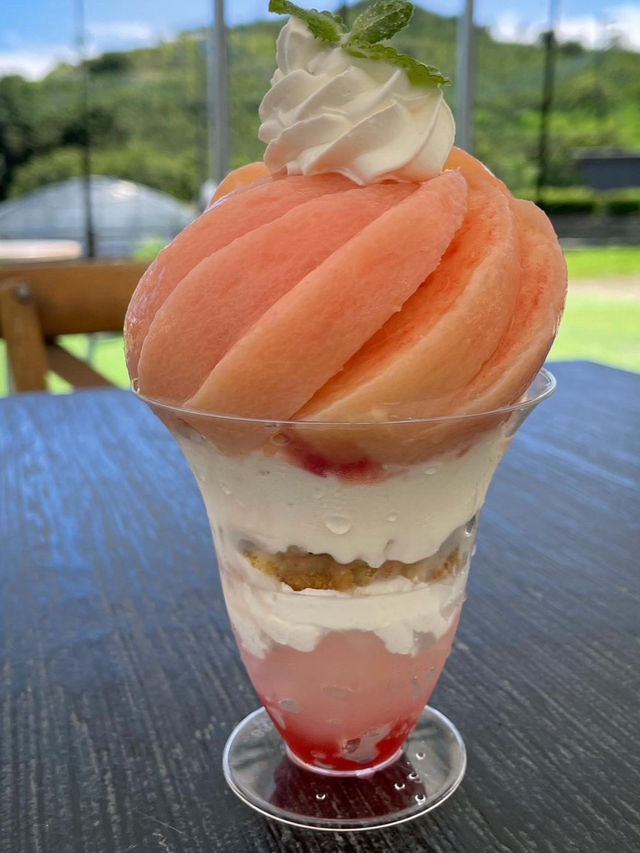 【福岡グルメ】ジューシーなフルーツパフェが美味しいよ
