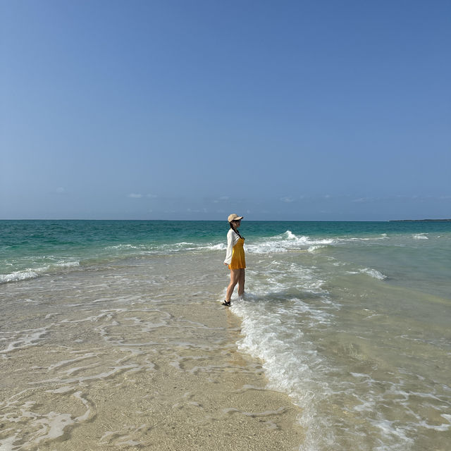 【石垣島】死ぬまでに行くべき幻の島🏝️