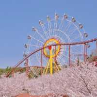 「Wonder Box主題樂園」：奇幻冒險、美食樂趣、主題活動，無盡驚喜！