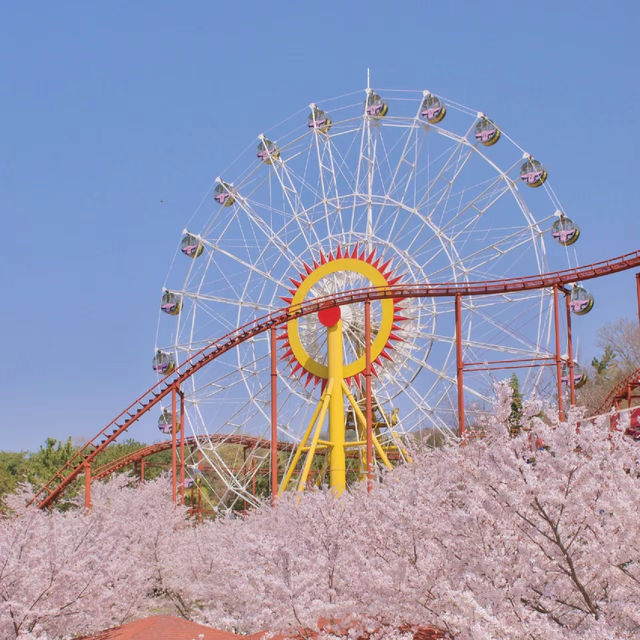 「Wonder Box主題樂園」：奇幻冒險、美食樂趣、主題活動，無盡驚喜！