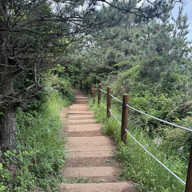 제주에서 가장 예쁜 오름은 여기 !! 🏔️