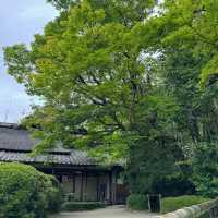 「清水觀音堂」- 神聖莊嚴的建築藝術與寧靜祥和的庭園景緻，探索東京神道文化的重要目的地