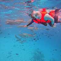 Paradise Unveiled: My Unforgettable Maldives Adventure
