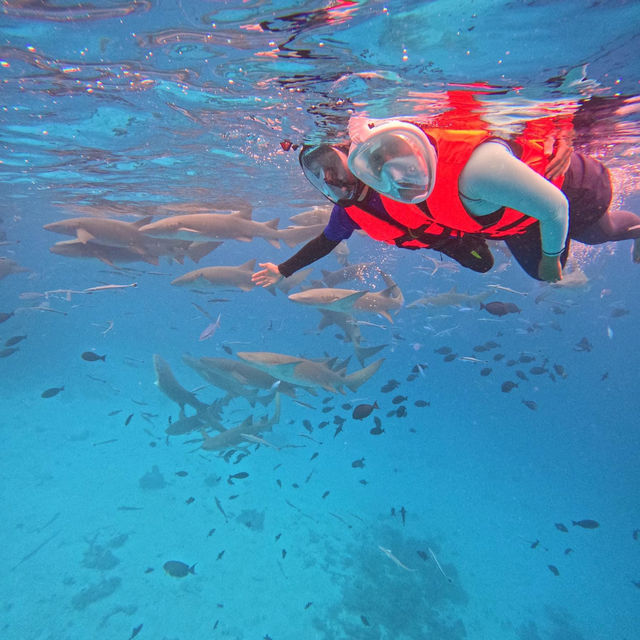 Paradise Unveiled: My Unforgettable Maldives Adventure