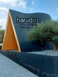คาเฟ่เปิดใหม่ ใครๆ ก็ต้องมา harudot 