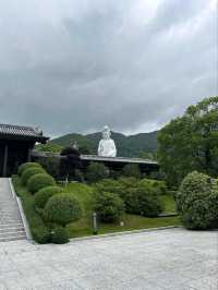 The Beautiful Scenery of Tsz Shan Monastery in Hong Kong