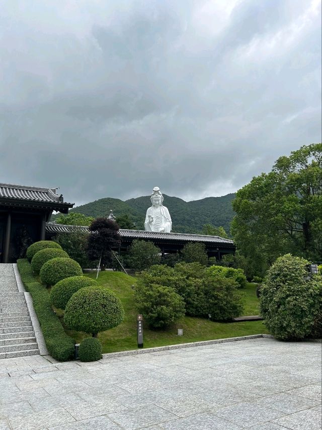 The Beautiful Scenery of Tsz Shan Monastery in Hong Kong
