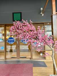 Oshinei 