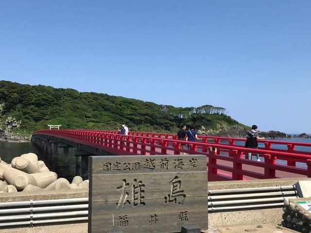 「雄島」