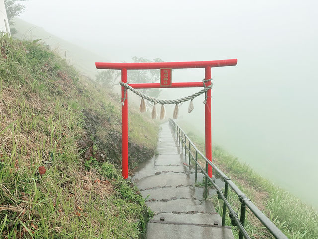 【伊豆大室山】詩意靜岡、東京🗼近郊的難忘體驗