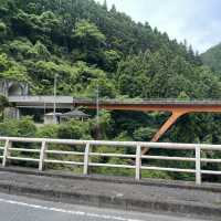 【日本最長路線バス】八木新宮線