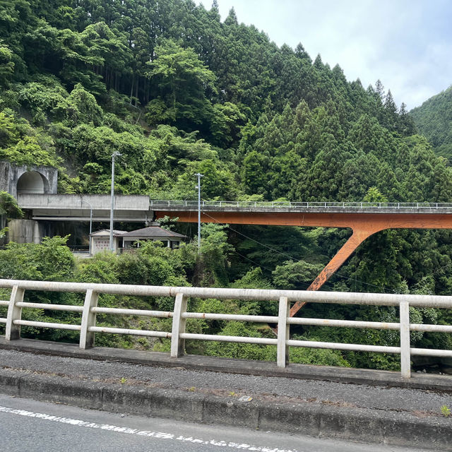 【日本最長路線バス】八木新宮線