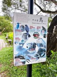 Exploring the Rich Heritage of The Chinese University of Hong Kong (CUHK)  