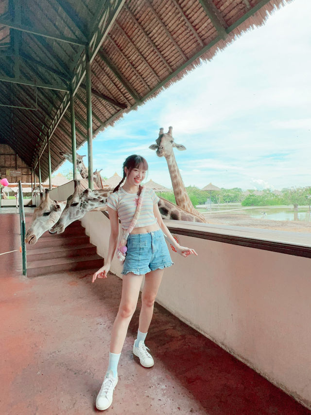 【泰國曼谷】Safari World：動物互動, 絕對好玩！