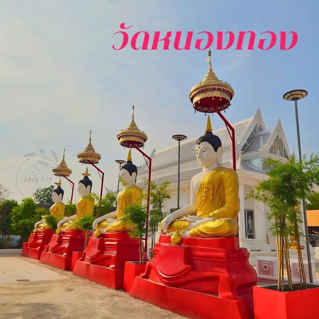 😇วัดหนองทอง