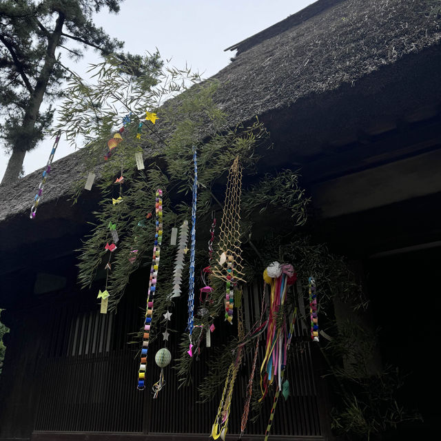 【横浜で緑を🍃】📍三溪園 (Sankeien)