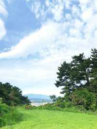 🏖에메랄드빛 해변과 ⛰초록빛 오름의 조화! 함덕해변