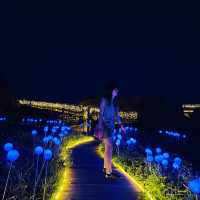 2024野柳石光夜訪女王頭！👑越夜越美，台灣北海岸的漂亮不能錯過！