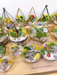 Experience The Green Capsule 
