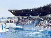 【京都】京都駅から歩いてもいける水族館