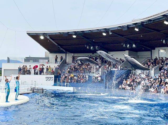 【京都】京都駅から歩いてもいける水族館