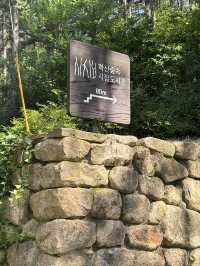 전주 숲속 힐링할수있는 도서관,전주학산시집도서관