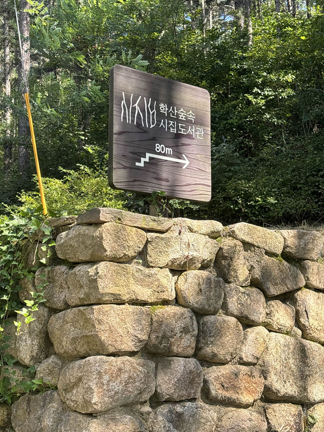 전주 숲속 힐링할수있는 도서관,전주학산시집도서관