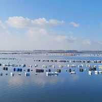 龜山島日出海灘：金色夕陽，恬靜海風，令人難忘的美好體驗