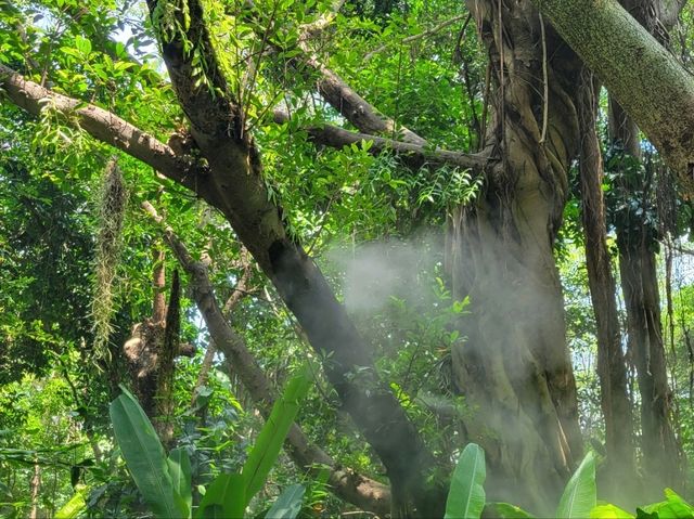 廈門園林植物園《雨林世界》