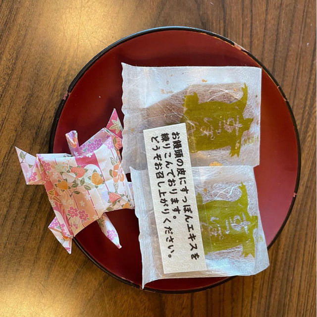 【安心院】すっぽんの量の多さに感動✨有名すっぽん旅館✨