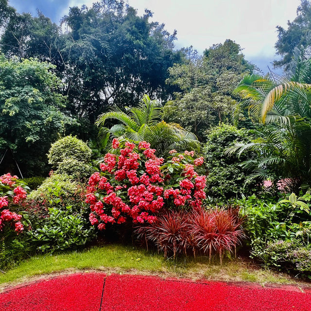 种草深圳水土保持科技示範園啦😄