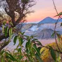 Mount Bromo
