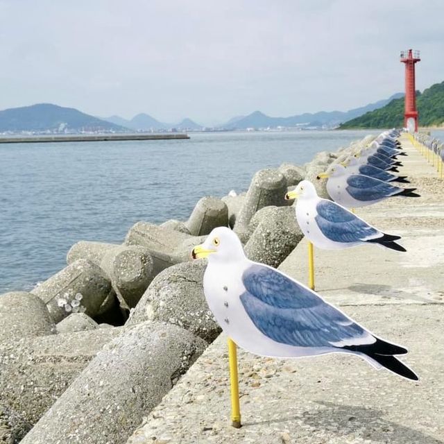 女木島-神袐的鬼之島，謠傳是鬼族居住之地
